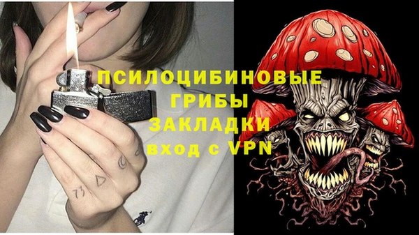 PSILOCYBIN Магадан