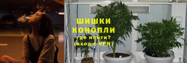 PSILOCYBIN Магадан