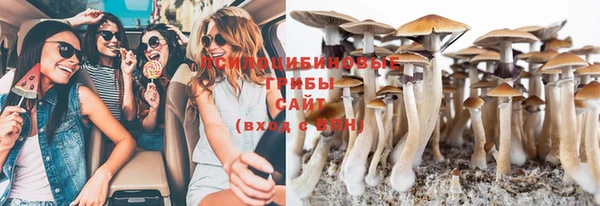 гашик Лихославль